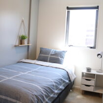 Result when people search on google "Accomodation in Auckland"